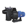 Насос для бассейна Hayward HCP421003E KAL1000T2 IE3 (104м³/ч 7.36кВт 380В)